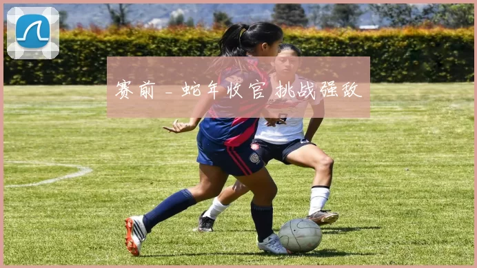 赛前 _ 蛇年收官 挑战强敌