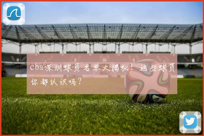cba深圳球员名单大揭秘！这些球员你都认识吗？