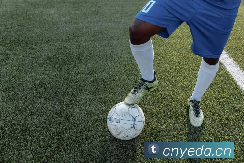 kaiyun开云官方网页版 - kaiyun开云(中国)平台生态图