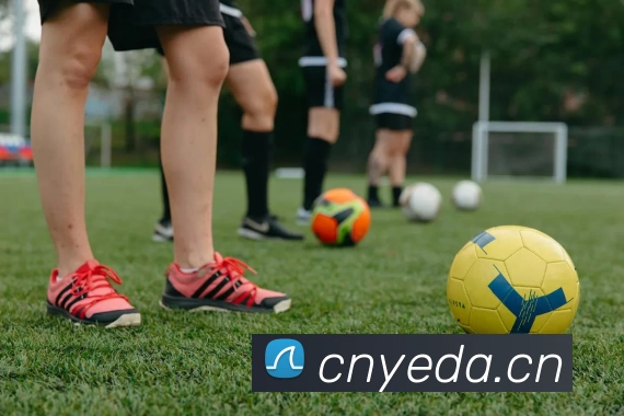 开云网页版·官方版在线 - 开云(中国)服务体系